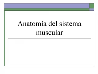 Ppt Anatom A Y Fisiolog A Del Aparato Reproductor Femenino Powerpoint