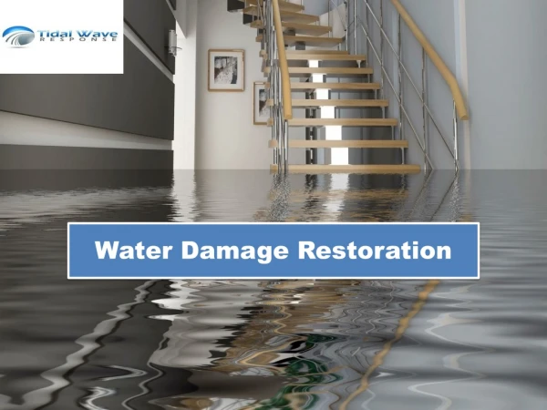 Ppt Water Restoration Meridian Idaho Restoration Heroes