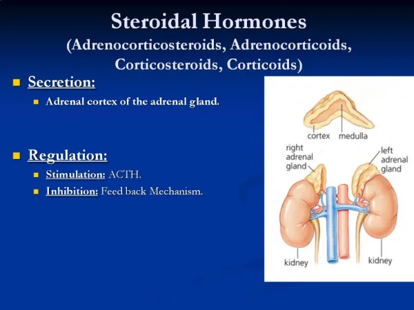 Steroidal Hormones Adrenocorticosteroids, Adrenocorticoids, Corticosteroids, Corticoids