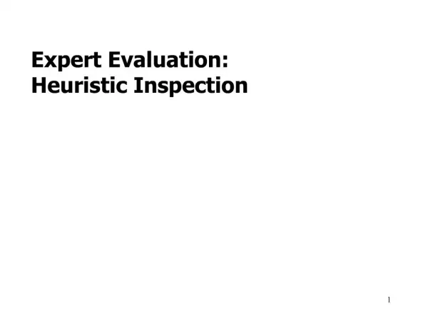 Expert Evaluation: Heuristic Inspection