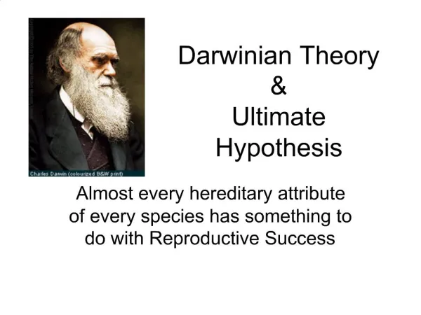 Darwinian Theory Ultimate Hypothesis