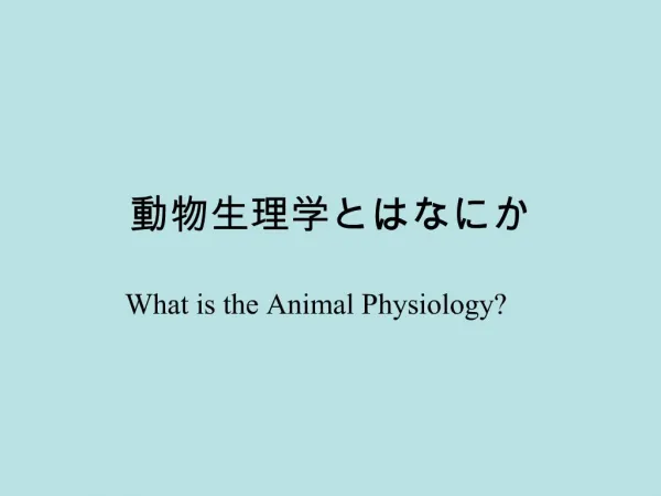 What is the Animal Physiology