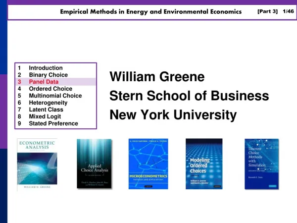 William Greene Stern School of Business New York University