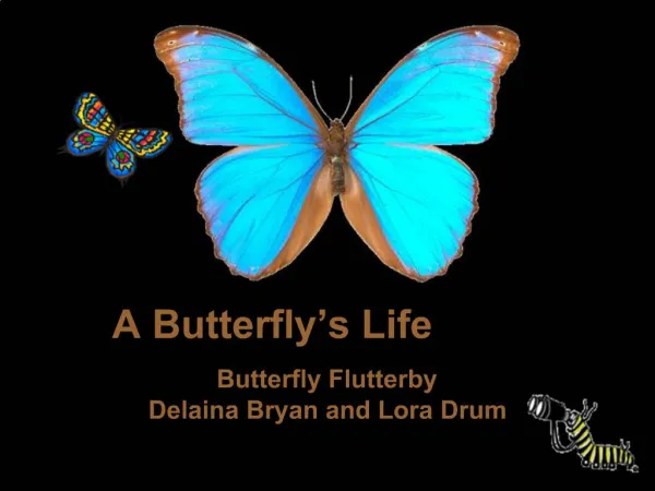 A Butterfly s Life