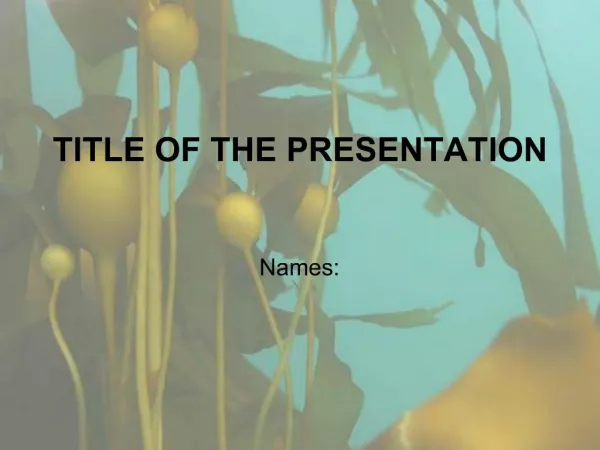 TITLE OF THE PRESENTATION
