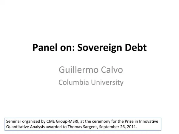 Panel on: Sovereign Debt