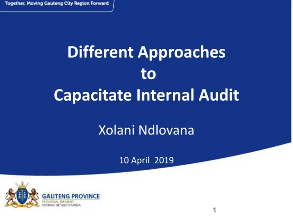 Different Approaches to Capacitate Internal Audit Xolani Ndlovana 10 April 2019