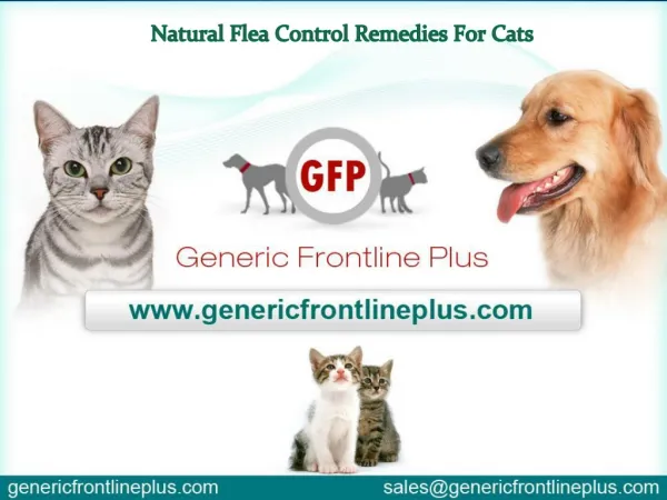 Natural Flea Control Remedies For Cats