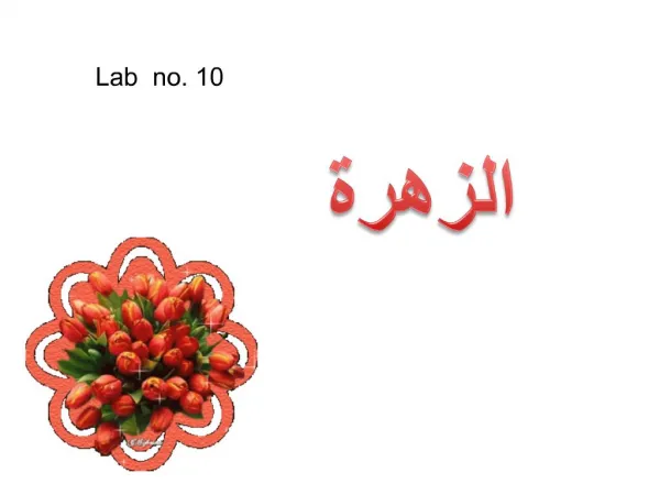 Lab no. 10