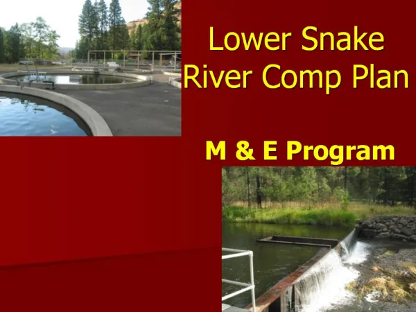 Lower Snake River Comp Plan M E Program