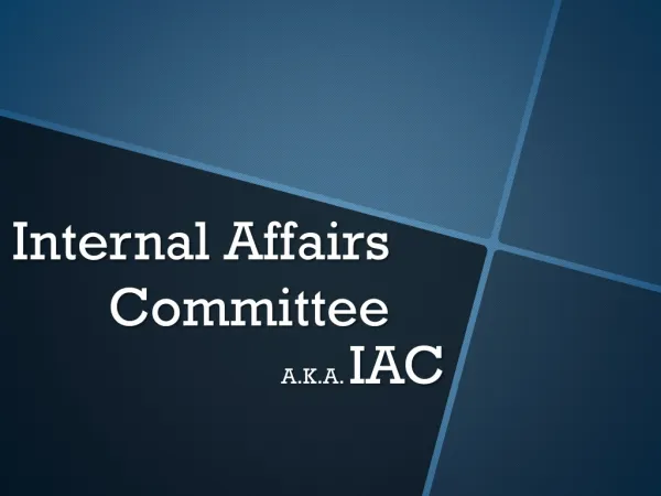 Internal Affairs Committee 2011