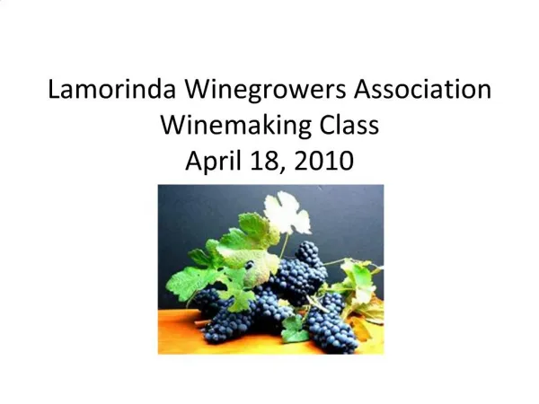 Lamorinda Winegrowers Association Winemaking Class April 18, 2010