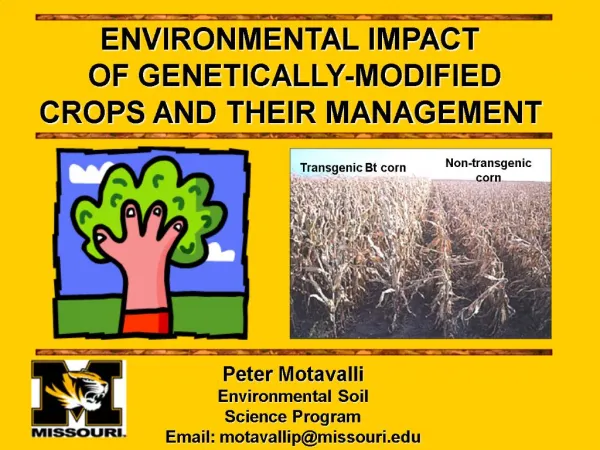 Peter Motavalli Environmental Soil Science Program Email: motavallipmissouri