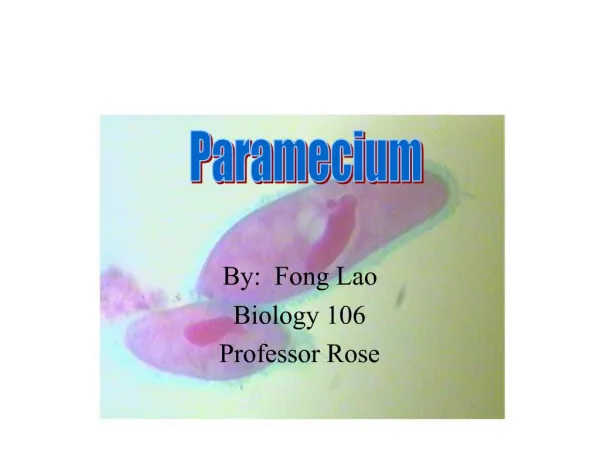 By: Fong Lao Biology 106 Professor Rose