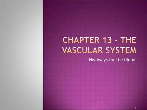 Chapter 13 The Vascular System