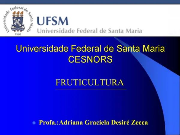 Universidade Federal de Santa Maria CESNORS