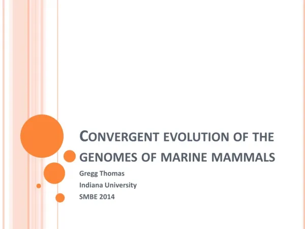 Convergent evolution of the genomes of marine mammals