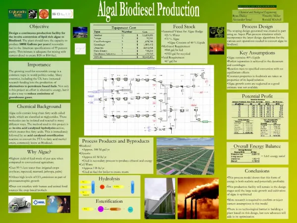 Algal Biodiesel Production