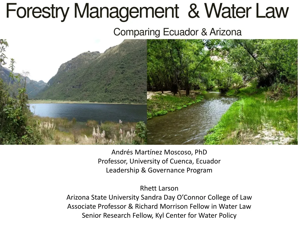 forestry management water law