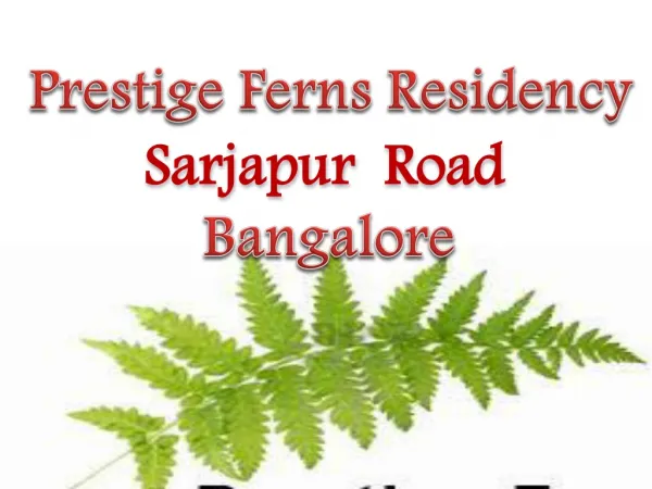 Prestige Group Sarjapur Road Bangalore