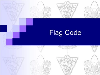 Flag Code