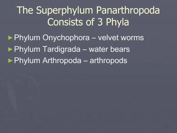 The Superphylum Panarthropoda Consists of 3 Phyla
