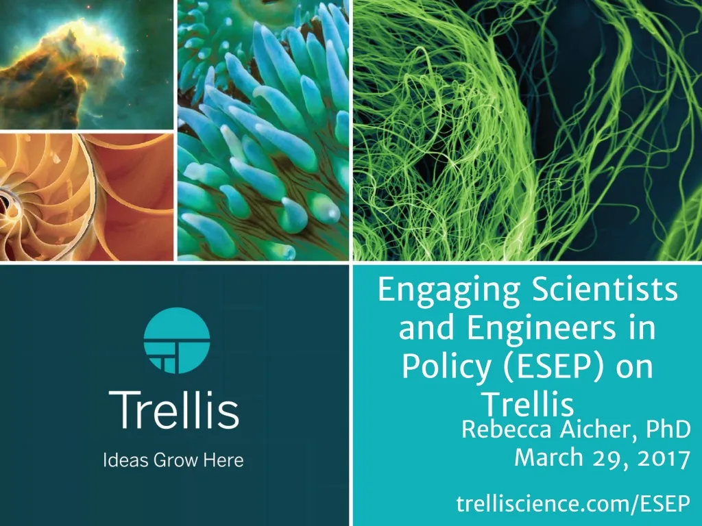 engaging scientists and engineers in policy esep on trellis