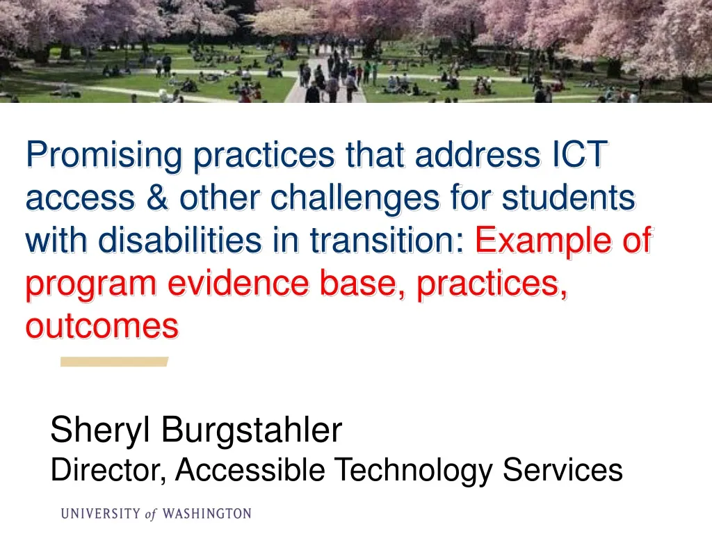 promising practices that address ict access other