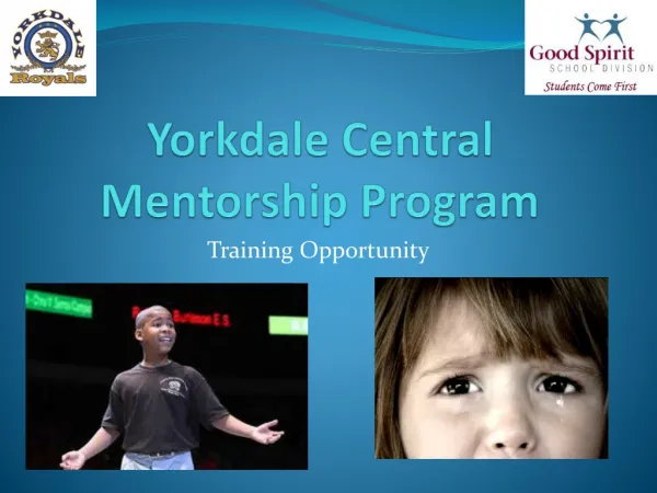 Yorkdale Central Mentorship Program