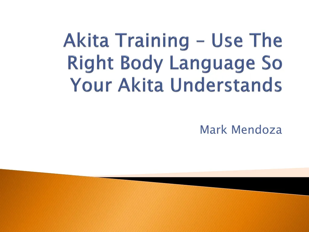 akita training use the right body language so your akita understands