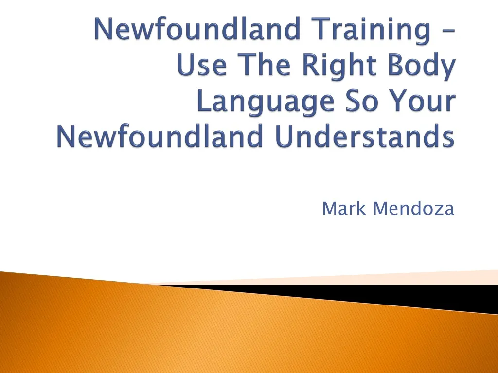 newfoundland training use the right body language so your newfoundland understands