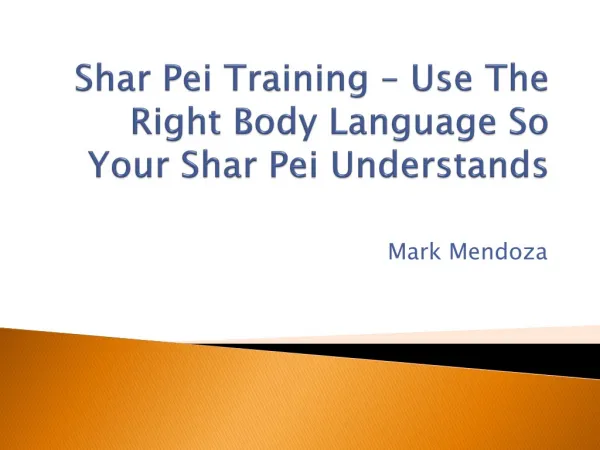 Shar Pei Training