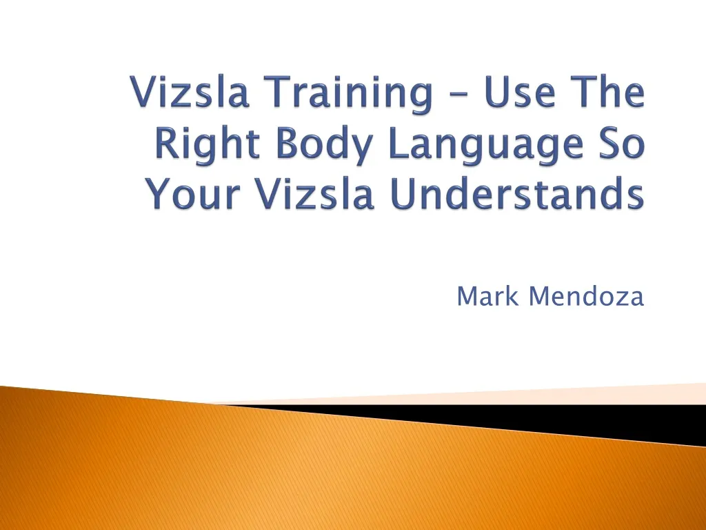 vizsla training use the right body language so your vizsla understands