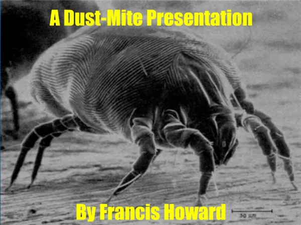 A Dust-Mite Presentation