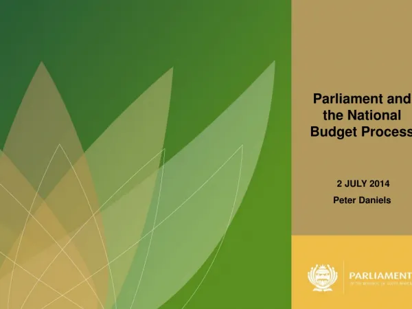 Parliament and the National Budget Process 2 JULY 2014 Peter Daniels