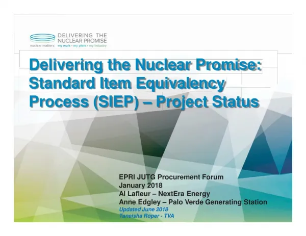 Delivering the Nuclear Promise: Standard Item Equivalency Process (SIE	– Project Status