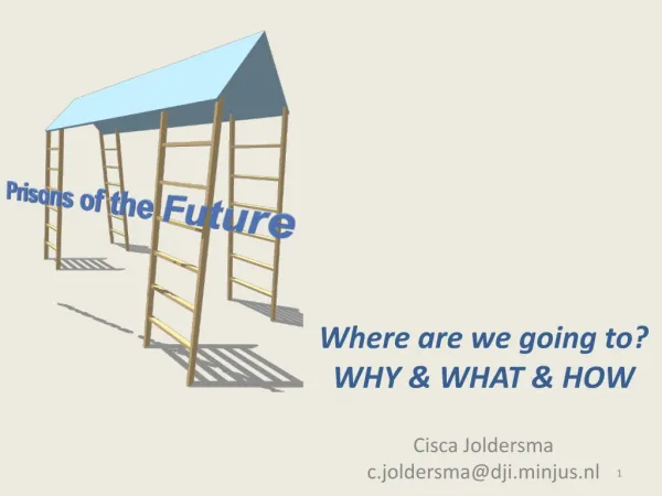 Where are we going to? WHY &amp; WHAT &amp; HOW Cisca Joldersma c.joldersma @ dji.minjus.nl