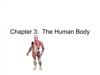 Chapter 3: The Human Body - slide 1