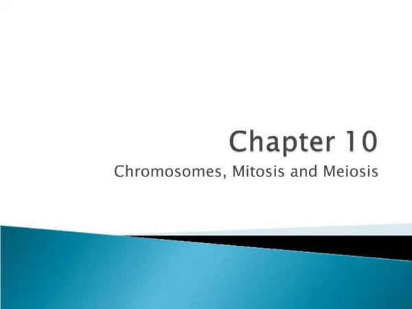 Chromosomes, Mitosis and Meiosis