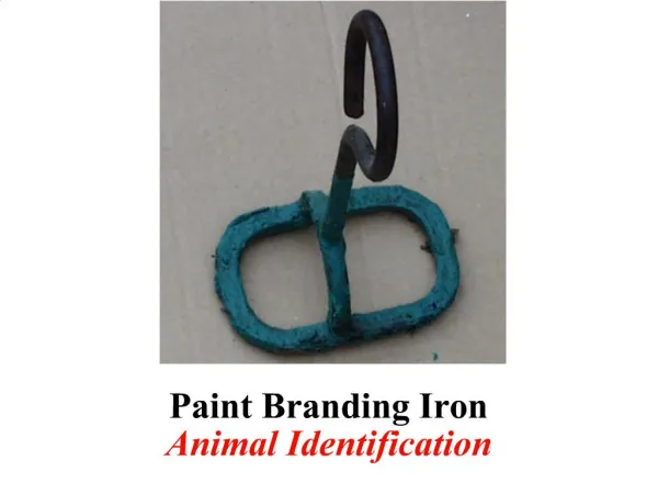 Paint Branding Iron Animal Identification