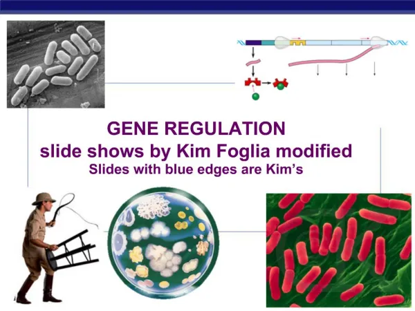 GENE REGULATION slide shows by Kim Foglia modified Slides with blue edges are Kim s