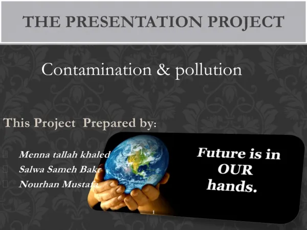 The presentation project