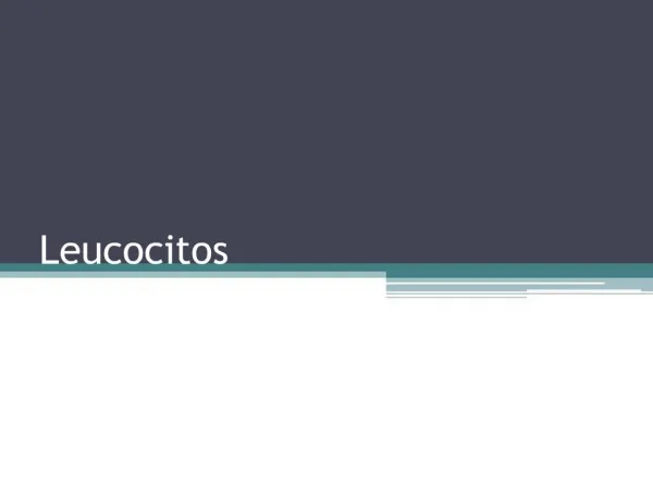 Leucocitos