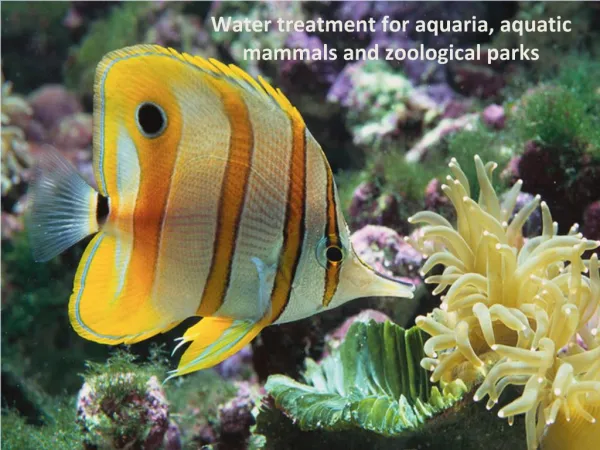 Water treatment for aquaria, aquatic mammals and zoological parks