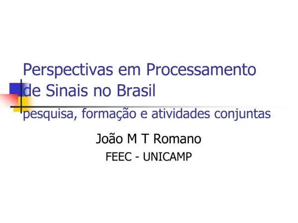 Perspectivas em Processamento de Sinais no Brasil pesquisa, forma o e atividades conjuntas