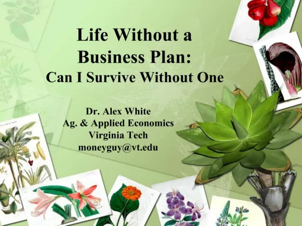 Life Without a Business Plan: Can I Survive Without One