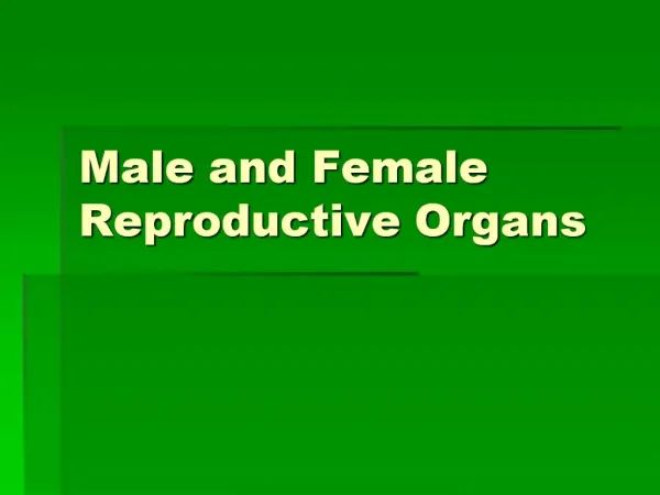 Male and Female Reproductive Organs