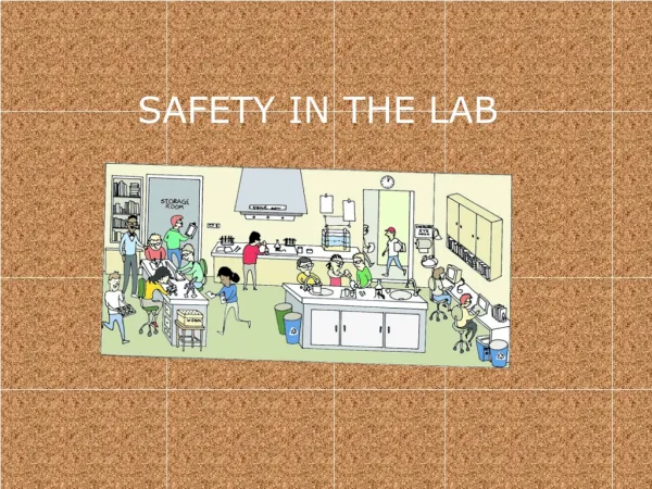 SAFETY IN THE LAB