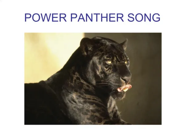 POWER PANTHER SONG