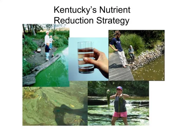 Kentucky s Nutrient Reduction Strategy